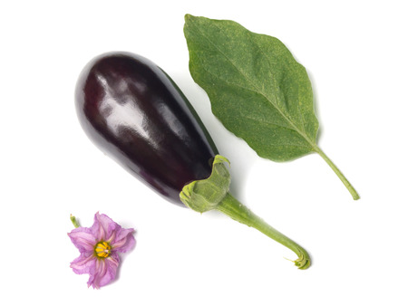 aubergine with leaf and flower isolated on whiteの写真素材