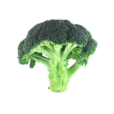 Fresh broccoli isolated standing on white backgroundの写真素材