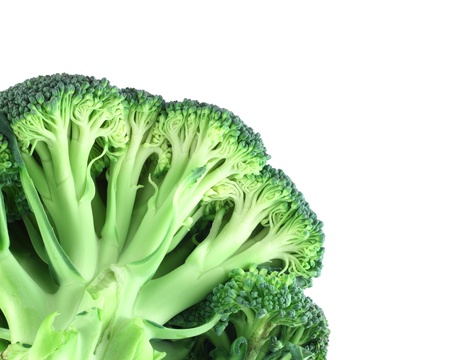 Fresh broccoli in corner macro isolated on white backgroundの写真素材