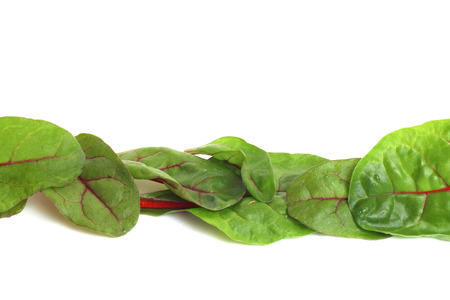 Mangold salad or Sweet beet leafs isolated on white background