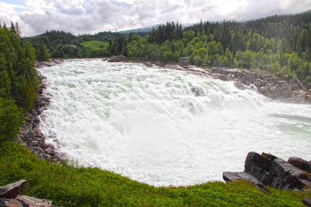 Waterfall and river in green forest in northern Norway at summerの写真素材
