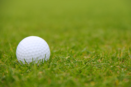 Golf ball on green grass of course close-up viewの写真素材