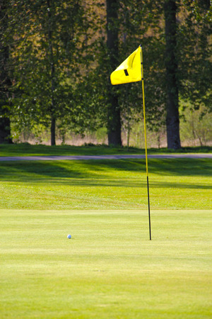 Flag on the golf field and forest on backgroundの写真素材