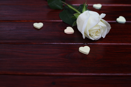 White rose and hearts on dark wooden background, Valentines day conceptの写真素材