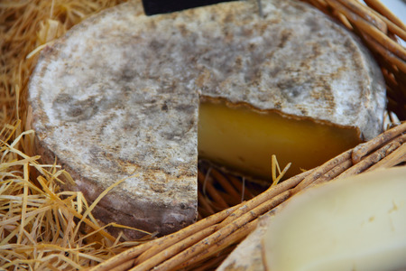 Traditional French cheese in hay for sale on Normandy market, Franceの写真素材