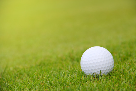 Golf ball on green grass of course close-up viewの写真素材