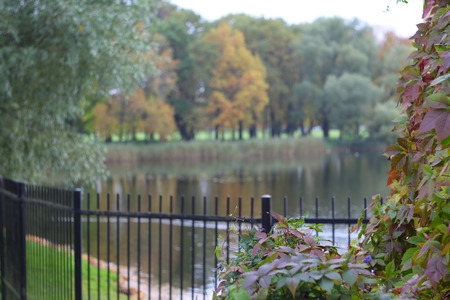 View on autumn park woth pond, fence and colorful plantsの写真素材