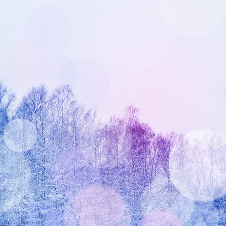 Beautiful view on Winter park in snowの写真素材