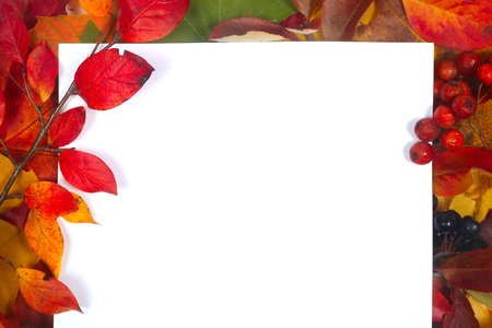 Autumn leaves frame with white paper isolated on white background