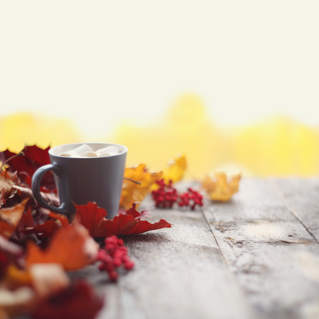 Autumn dried maple leaves and mug of cocoa with marshmellows on wooden tableの写真素材