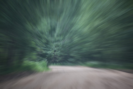 Rural road in the green forest, abstract nature forestの写真素材