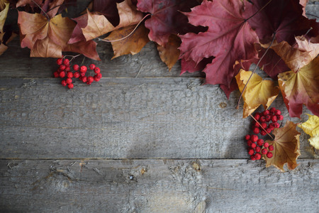 Autumn maple leaves frame over wooden background with copy space