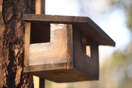 birdhouse on a tree in autumn forest park