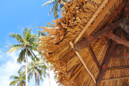 Thatch roof and palm trees over blue sky background tourist resort conceptの写真素材