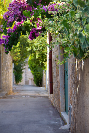 Old street with flowers in Supetar town in Brac island, Croatia.の写真素材