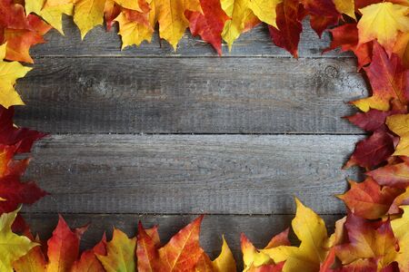Autumn maple leaves frame over wooden background with copy space