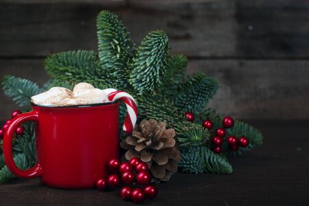 Cocoa hot chocolate in red mug with marshmallows candy cane fir tree branches and red berries on dark wooden backgroundの写真素材