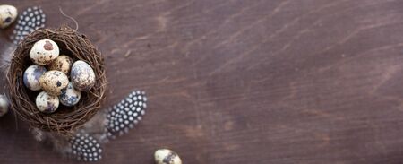Quail eggs and feathers in nest on dark wooden background with copy space , easter eggs, easter nest conceptの写真素材