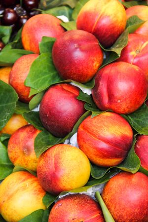 Lot of red fresh nectarine fruits with leaves at market, food backgroundの写真素材