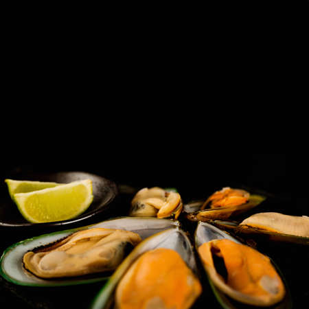 Three Female New Zealand greenshell mussels studio isolated on white background