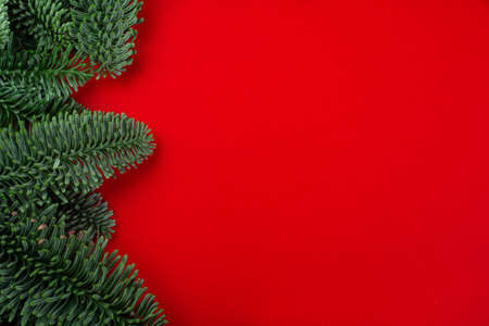 Christmas fir tree branches decor border frame on red background with copy space for text