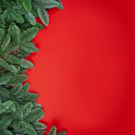 Christmas fir tree branches decor border frame on red background with copy space for text