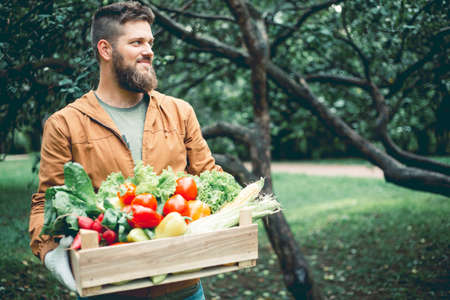Happy proud smiling mid adult handsome bearded farmer holding wooden box of vegetables in garden, autumn summer organic harvest conceptの写真素材