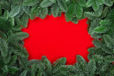 Christmas fir tree branches decor border frame on red background with copy space for textの写真素材