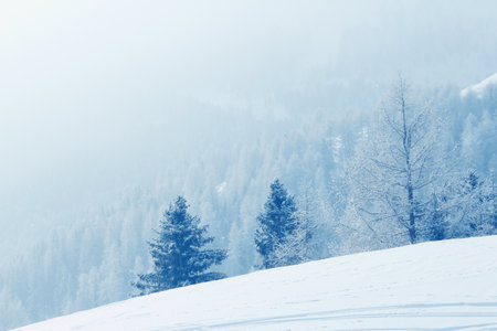 Winter mountain forest in snow beautiful landscape in ski resort in Solden Austriaの写真素材