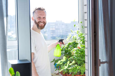 Mid adult man watering tomatoes on his city balcony garden - Nature and ecology hobby themeの写真素材