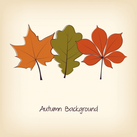 Thanksgiving background with autumn leavesのイラスト素材