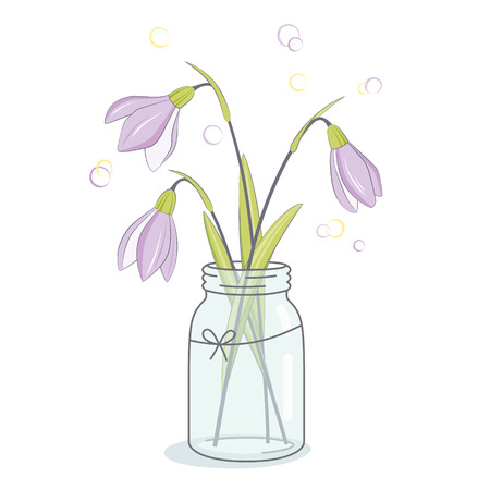 Spring flowers bouquet, snowdrops in jarのイラスト素材