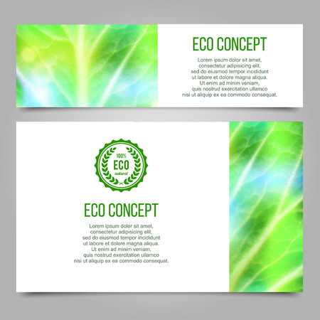 Green abstract layout design set with leaf texture.のイラスト素材