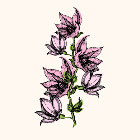 Floral composition of hand drawn flowers on a white backgroundのイラスト素材