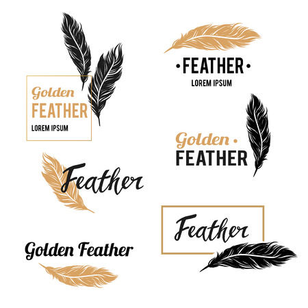 Feather vector symbols collection with golden design elementsのイラスト素材