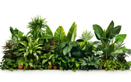 Collection of various green plants in pots isolated on a white background.の素材