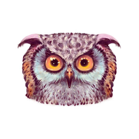 illustration of hand drawn owl portrait. Multicolor stylized owl with ears and yellow eyes. Isolated head on a white background, pastel shades, cute drawingの写真素材