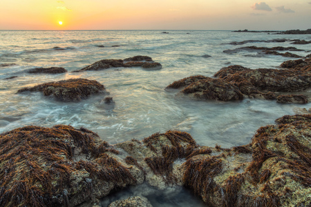 HDR shot of ocean washing the rocks covered with algae and sea weed in susnet light. Koh Lanta, Thailandの写真素材