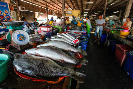 Takua Pa, Thailand - February 22, 2016:  Fresh fish and seafood on local market.のeditorial素材