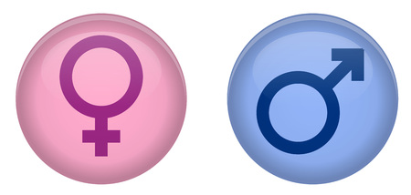 Simple male and female sign 3d circle button. Pink and blue version.のイラスト素材