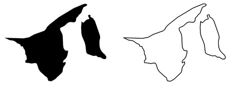 Simple (only sharp corners) map of Brunei vector drawing. Mercator projection. Filled and outline version.のイラスト素材