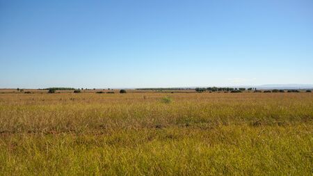 Sun shines on flat grassland savanna landscape in Andranovory region of Madagascar - only grass...