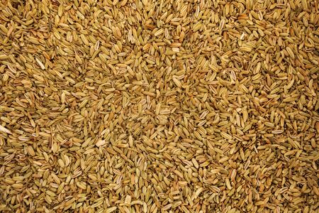 Caraway / Fennel seeds displayed on food market in Kyrenia, Northern Cyprus
