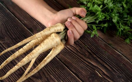 Hand holding bunch of fresh parsnip roots with green leaves over dark wooden boardの写真素材