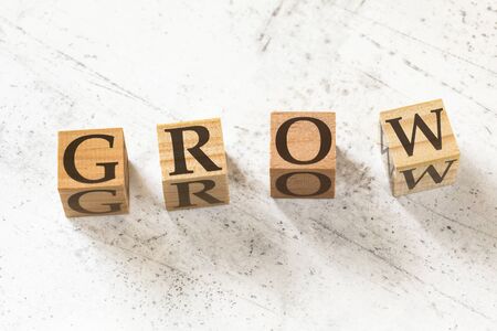 Four wooden cubes with word GROW on white working board..