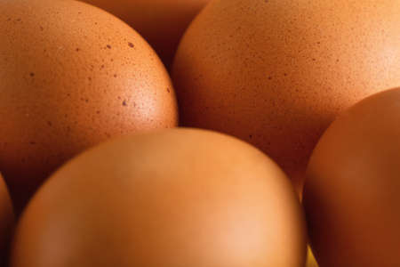 Beige coloured eggs shell with spots closeup detail
