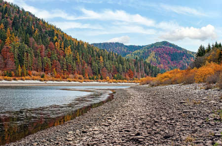 Calm lake with low water - round stones at shore visible, autumn coloured coniferous trees on other side, blue sky aboveの写真素材