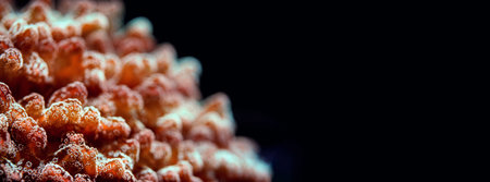 Underwater photo, close up of orange red coral emitting fluorescent light. Shallow depth of field photo - only few tentacles in focus, abstract marine background space for text right sideの写真素材
