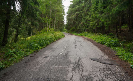 Worn asphalt forest road, trees and grass on both sidesの写真素材