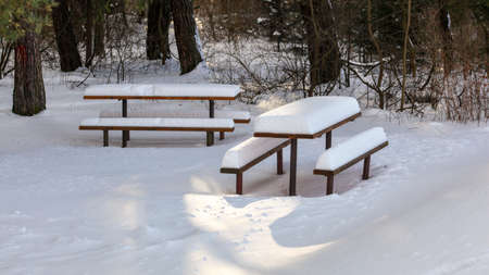 Sun shining on picnic benches and table covered with thick layer of snow in forest.の写真素材